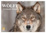 Wölfe. Verwegene Anmut (Wandkalender 2026 DIN A2 quer), CALVENDO Monatskalender