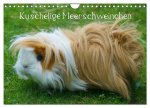 Kuschelige Meerschweinchen (Wandkalender 2026 DIN A4 quer), CALVENDO Monatskalender
