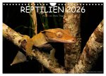 REPTILIEN (Wandkalender 2026 DIN A4 quer), CALVENDO Monatskalender