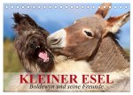Kleiner Esel. Boldewyn und seine Freunde (Tischkalender 2026 DIN A5 quer), CALVENDO Monatskalender