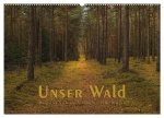 Unser Wald - Magische Sichten in norddeutsche Wälder (Wandkalender 2026 DIN A2 quer), CALVENDO Monatskalender