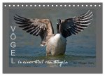 VÖGEL (Tischkalender 2026 DIN A5 quer), CALVENDO Monatskalender