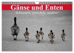 Gänse und Enten. Schnattern, watscheln, quaken! (Wandkalender 2026 DIN A4 quer), CALVENDO Monatskalender