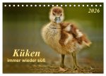 Küken - immer wieder süß (Tischkalender 2026 DIN A5 quer), CALVENDO Monatskalender