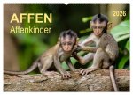 Affen - Affenkinder (Wandkalender 2026 DIN A2 quer), CALVENDO Monatskalender