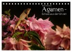 Agamen - Echsen aus der Urzeit (Tischkalender 2026 DIN A5 quer), CALVENDO Monatskalender