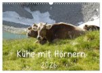 Kühe mit Hörnern (Wandkalender 2026 DIN A3 quer), CALVENDO Monatskalender