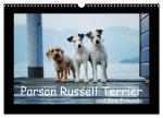 Parson Russell Terrier (Wandkalender 2026 DIN A3 quer), CALVENDO Monatskalender
