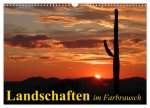 Landschaften im Farbrausch (Wandkalender 2026 DIN A3 quer), CALVENDO Monatskalender
