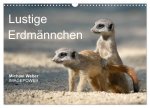 Lustige Erdmännchen (Wandkalender 2026 DIN A3 quer), CALVENDO Monatskalender