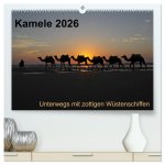 Kamele 2026 - Unterwegs mit zottigen Wüstenschiffen (hochwertiger Premium Wandkalender 2026 DIN A2 quer), Kunstdruck in Hochglanz