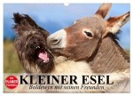 Kleiner Esel. Boldewyn mit seinen Freunden (Wandkalender 2026 DIN A3 quer), CALVENDO Monatskalender
