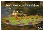 Amphibien und Reptilien (Wandkalender 2026 DIN A2 quer), CALVENDO Monatskalender