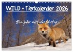 WILD - Tierkalender 2026 (Wandkalender 2026 DIN A3 quer), CALVENDO Monatskalender