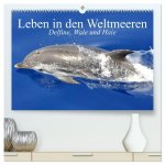 Leben in den Weltmeeren. Delfine, Wale und Haie (hochwertiger Premium Wandkalender 2026 DIN A2 quer), Kunstdruck in Hochglanz