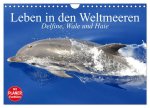 Leben in den Weltmeeren. Delfine, Wale und Haie (Wandkalender 2026 DIN A4 quer), CALVENDO Monatskalender