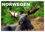 Norwegen (Wandkalender 2026 DIN A2 quer), CALVENDO Monatskalender