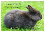 Liebenswerte Zwergkaninchen (Wandkalender 2026 DIN A3 quer), CALVENDO Monatskalender