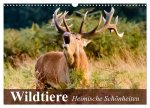 Wildtiere. Heimische Schönheiten (Wandkalender 2026 DIN A3 quer), CALVENDO Monatskalender