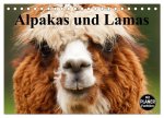 Alpakas und Lamas (Tischkalender 2026 DIN A5 quer), CALVENDO Monatskalender