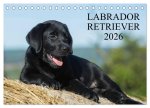 Labrador Retriever 2026 (Tischkalender 2026 DIN A5 quer), CALVENDO Monatskalender