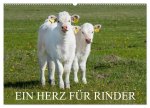 Ein Herz für Rinder (Wandkalender 2026 DIN A2 quer), CALVENDO Monatskalender