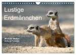 Lustige Erdmännchen (Wandkalender 2026 DIN A4 quer), CALVENDO Monatskalender