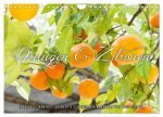Emotionale Momente: Orangen & Zitronen. (Wandkalender 2026 DIN A4 quer), CALVENDO Monatskalender