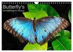 Butterfly's - Schmetterlinge für Zuhause (Wandkalender 2026 DIN A4 quer), CALVENDO Monatskalender