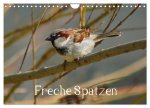 Freche Spatzen (Wandkalender 2026 DIN A4 quer), CALVENDO Monatskalender