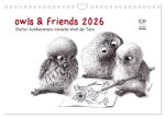 owls & friends 2026 (Wandkalender 2026 DIN A4 quer), CALVENDO Monatskalender