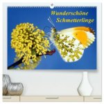 Wunderschöne Schmetterlinge (hochwertiger Premium Wandkalender 2026 DIN A2 quer), Kunstdruck in Hochglanz
