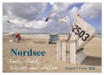 Nordsee - Dünen, Sand, Wasser und Wolken (Wandkalender 2026 DIN A3 quer), CALVENDO Monatskalender