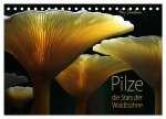Pilze - die Stars der Waldbühne (Tischkalender 2026 DIN A5 quer), CALVENDO Monatskalender