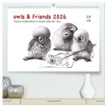 owls & friends 2026 (hochwertiger Premium Wandkalender 2026 DIN A2 quer), Kunstdruck in Hochglanz