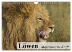 Löwen. Majestätische Kraft (Wandkalender 2026 DIN A4 quer), CALVENDO Monatskalender