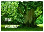 Baum-Variationen (Wandkalender 2026 DIN A3 quer), CALVENDO Monatskalender