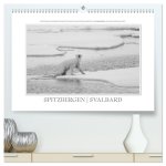 Spitzbergen Svalbard (hochwertiger Premium Wandkalender 2026 DIN A2 quer), Kunstdruck in Hochglanz