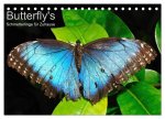 Butterfly's - Schmetterlinge für Zuhause (Tischkalender 2026 DIN A5 quer), CALVENDO Monatskalender