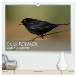 INNE BOTANIK - Vögel im Ruhrpott (hochwertiger Premium Wandkalender 2026 DIN A2 quer), Kunstdruck in Hochglanz