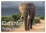 Elefanten Begegnungen im östlichen und südlichen Afrika (Wandkalender 2026 DIN A2 quer), CALVENDO Monatskalender