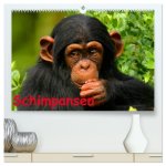 Schimpansen (hochwertiger Premium Wandkalender 2026 DIN A2 quer), Kunstdruck in Hochglanz