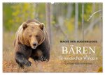 Magie des Augenblicks - Bären in nordischen Wäldern (Wandkalender 2026 DIN A2 quer), CALVENDO Monatskalender