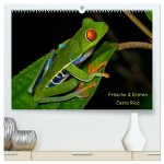 Frösche & Kröten Costa Rica (hochwertiger Premium Wandkalender 2026 DIN A2 quer), Kunstdruck in Hochglanz