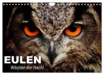 Eulen. Wächter der Nacht (Wandkalender 2026 DIN A4 quer), CALVENDO Monatskalender