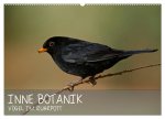 INNE BOTANIK - Vögel im Ruhrpott (Wandkalender 2026 DIN A2 quer), CALVENDO Monatskalender