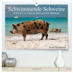 Schwimmende Schweine (hochwertiger Premium Wandkalender 2026 DIN A2 quer), Kunstdruck in Hochglanz