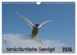 Nordatlantische Seevögel (Wandkalender 2026 DIN A4 quer), CALVENDO Monatskalender