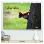 Eichhörnchen (hochwertiger Premium Wandkalender 2026 DIN A2 quer), Kunstdruck in Hochglanz