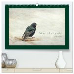 Stare und Weisheiten (hochwertiger Premium Wandkalender 2026 DIN A2 quer), Kunstdruck in Hochglanz